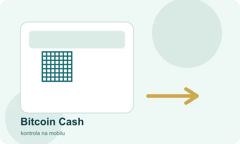 Kontrola částky Bitcoin Cash na mobilní obrazovce