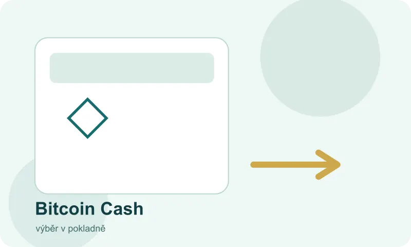 Volba Bitcoin Cash v přehledu platebních možností