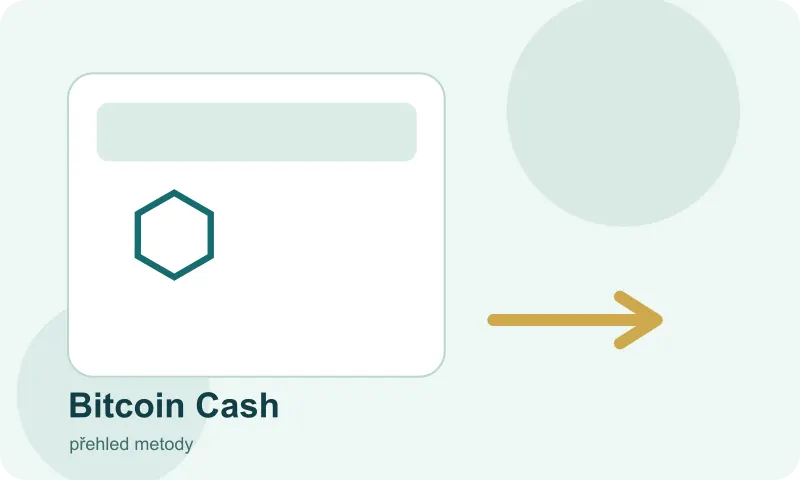 Platební metoda Bitcoin Cash na světlé kartě pokladny