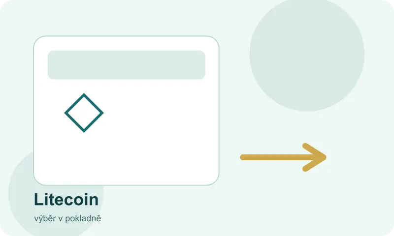 Volba Litecoin v přehledu platebních možností