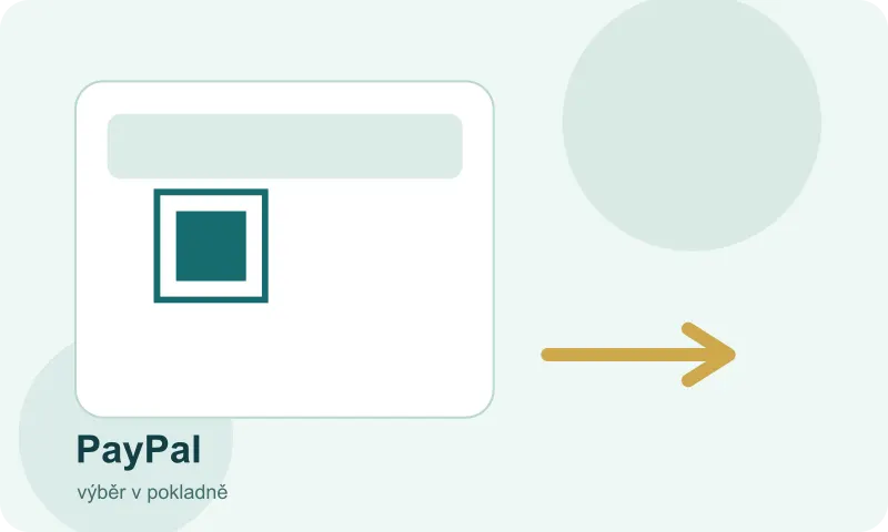 Volba PayPal v přehledu platebních možností